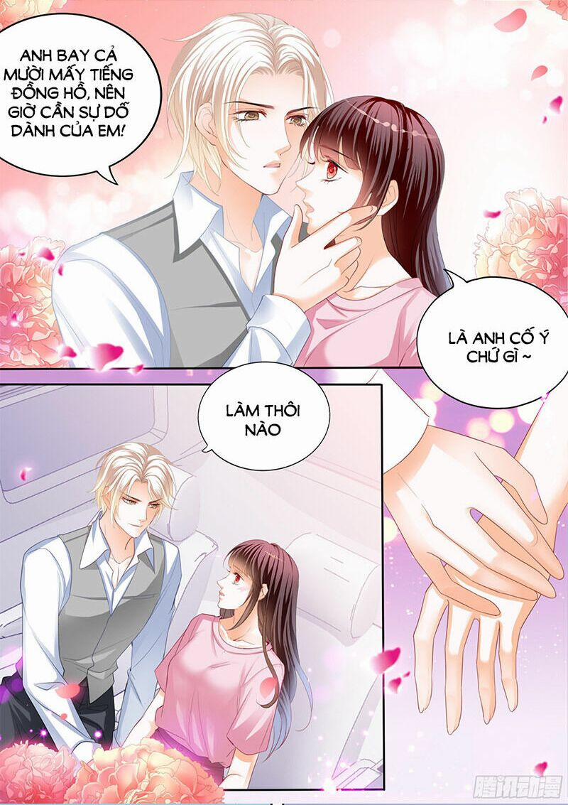 Thiểm Hôn Kiều Thê 305 trang 3