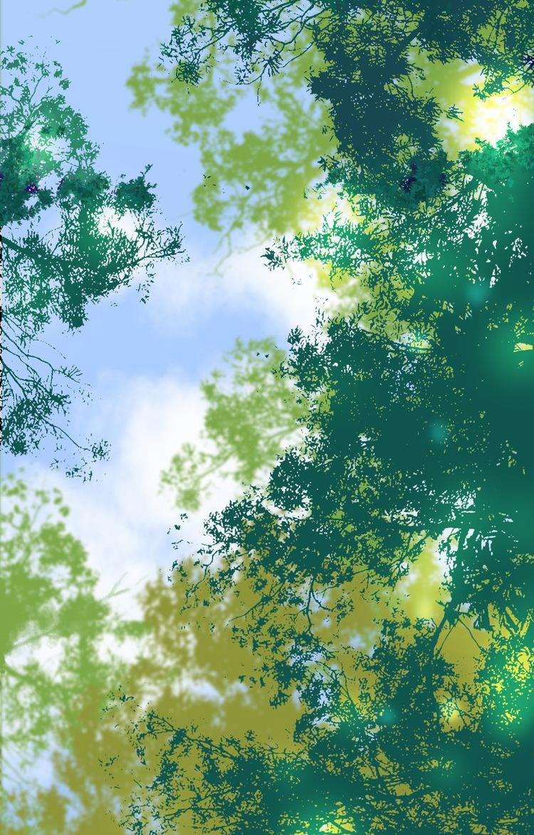 Thiên Chân Hữu Tà 5 trang 17