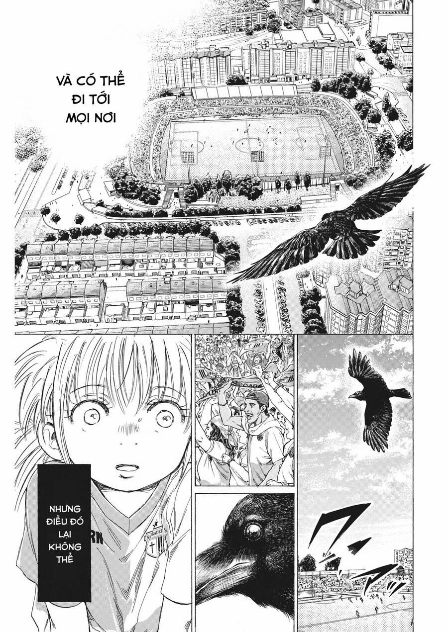 Thiên Tài Bóng Đá Ashito 335 trang 12