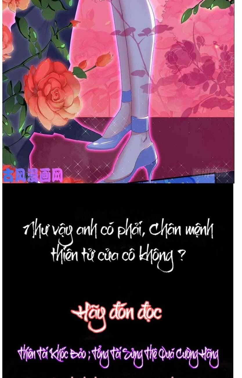 Thiên Tài Khốc Bảo: Tổng Tài Sủng Thê Quá Cường Hãn 0 trang 13