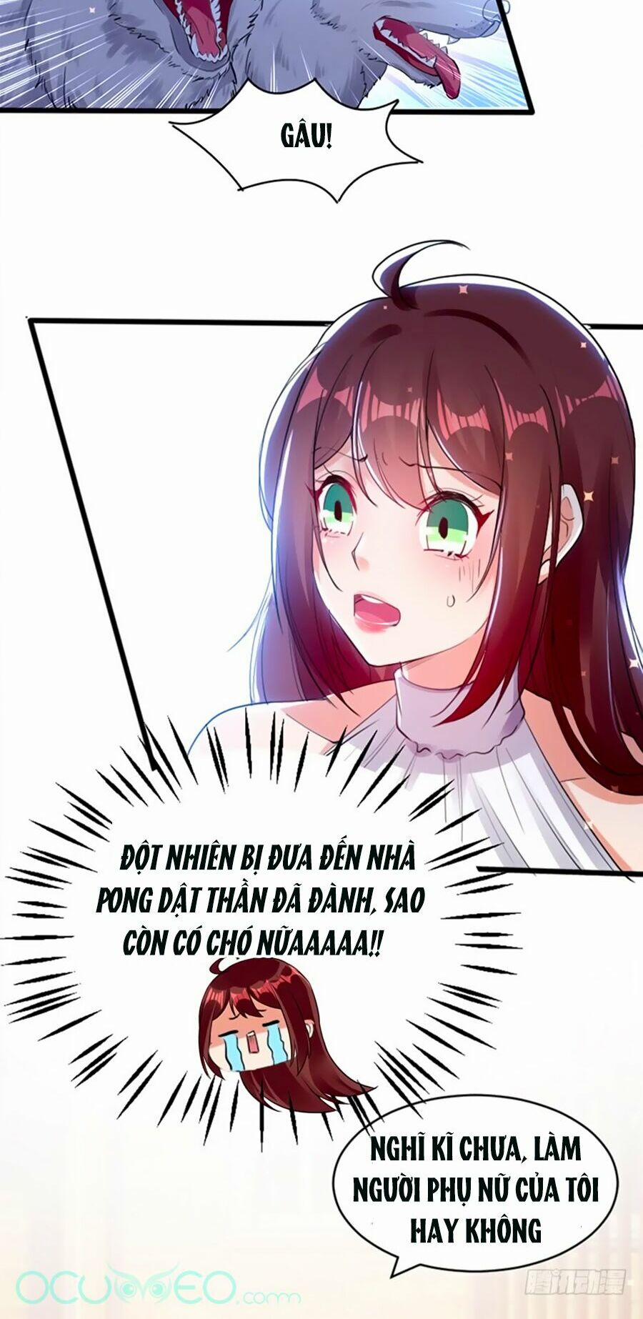 Thiên Tài Khốc Bảo: Tổng Tài Sủng Thê Quá Cường Hãn 11 trang 18