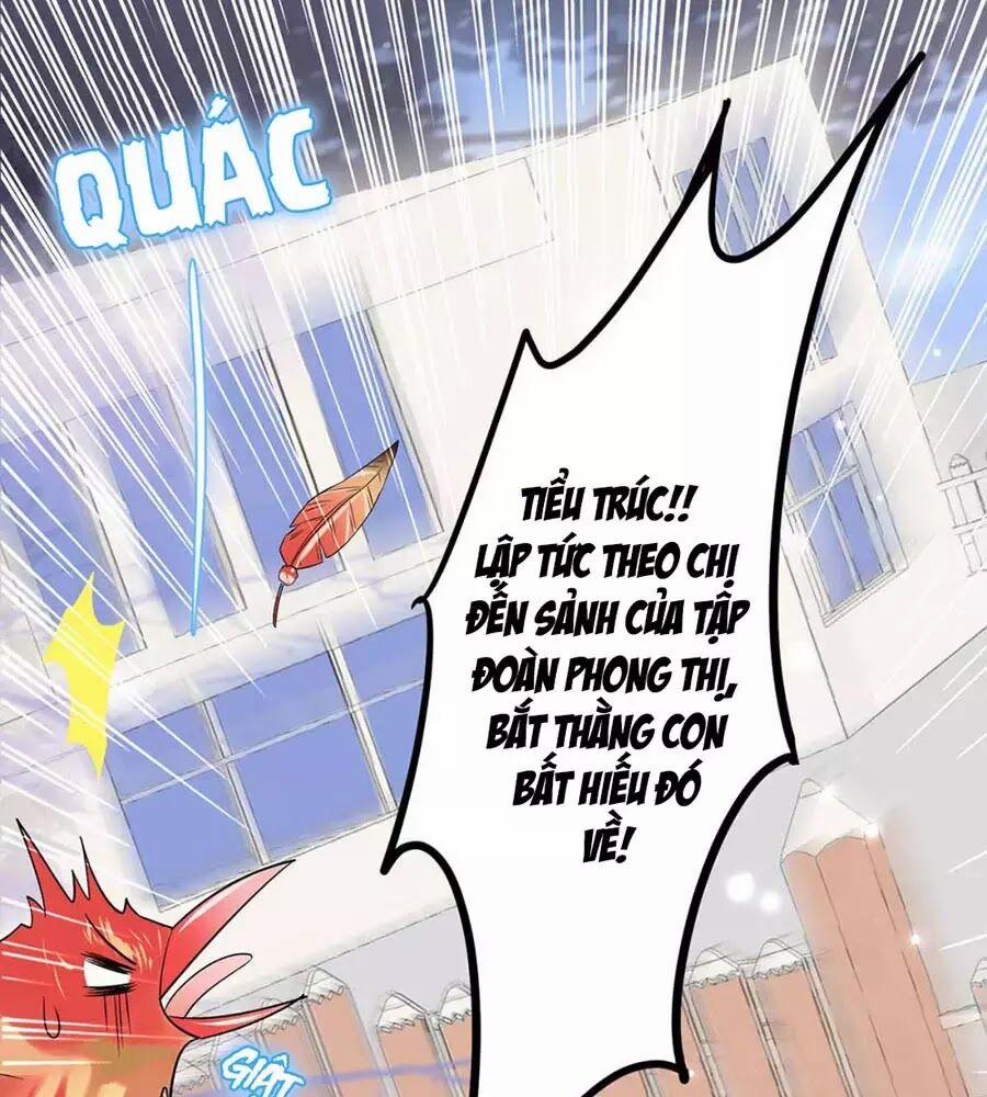 Thiên Tài Khốc Bảo: Tổng Tài Sủng Thê Quá Cường Hãn 44 trang 13