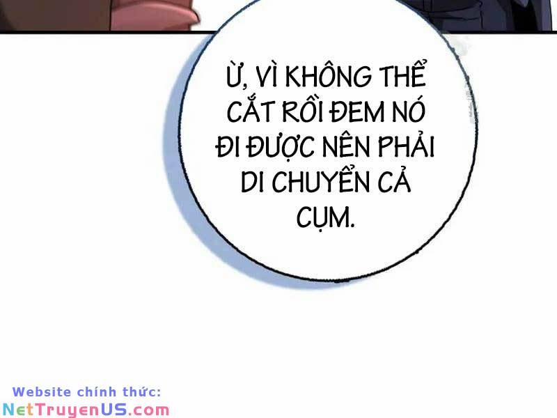 Thiên Tài Võ Thuật Hồi Quy 25 trang 176