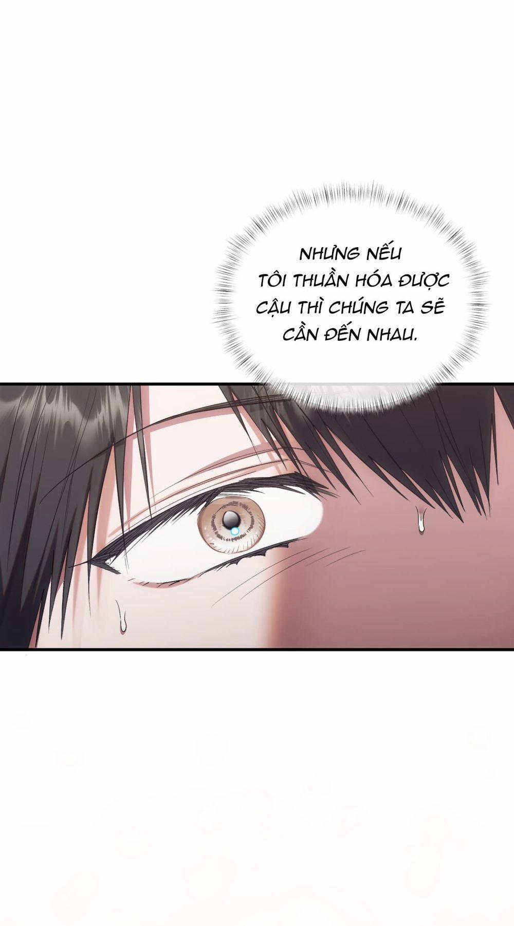Thiêu Đốt Sâu Thẳm 15 trang 29