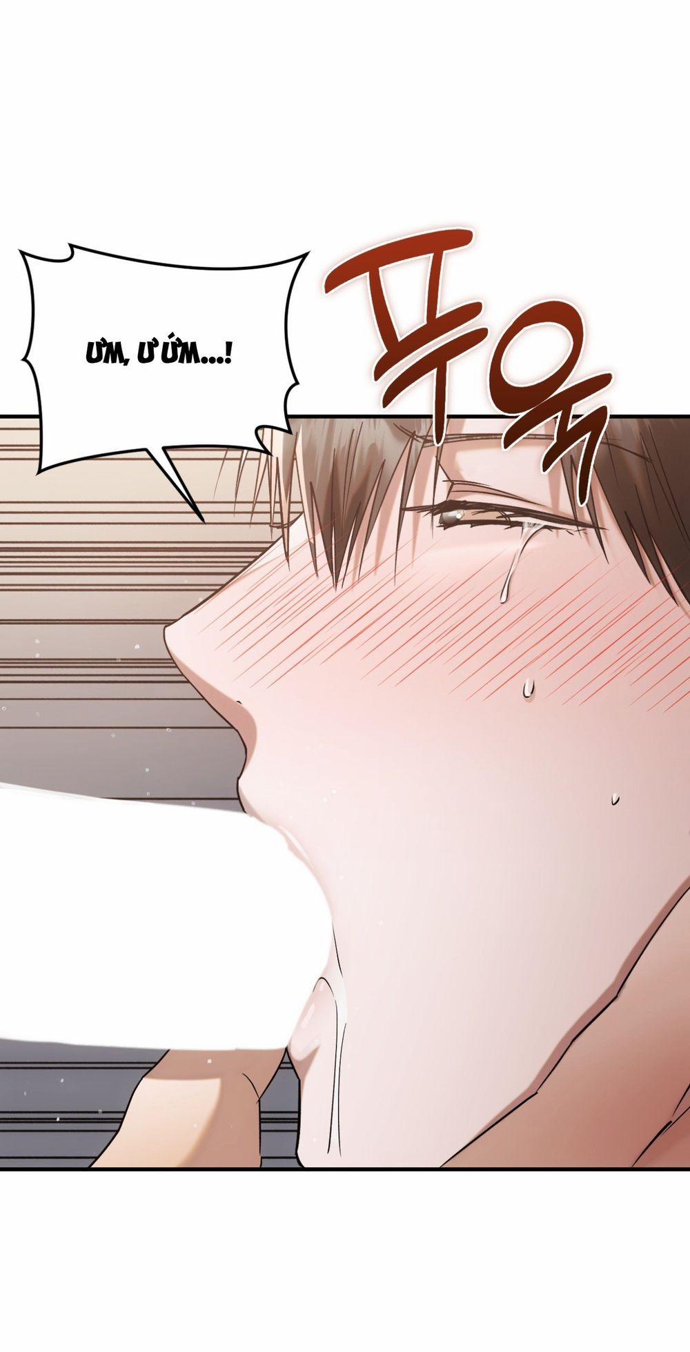 Thiêu Đốt Sâu Thẳm 19 trang 37