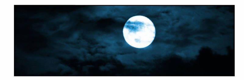 Thiếu Gia Bị Bỏ Rơi 11 trang 1