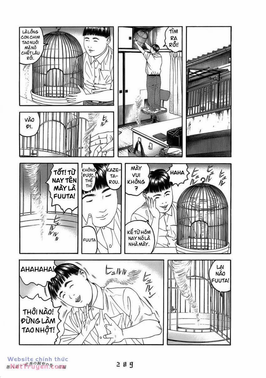 Thiếu Niên Thiếu Nữ Phiêu Lưu Ký 10 trang 8