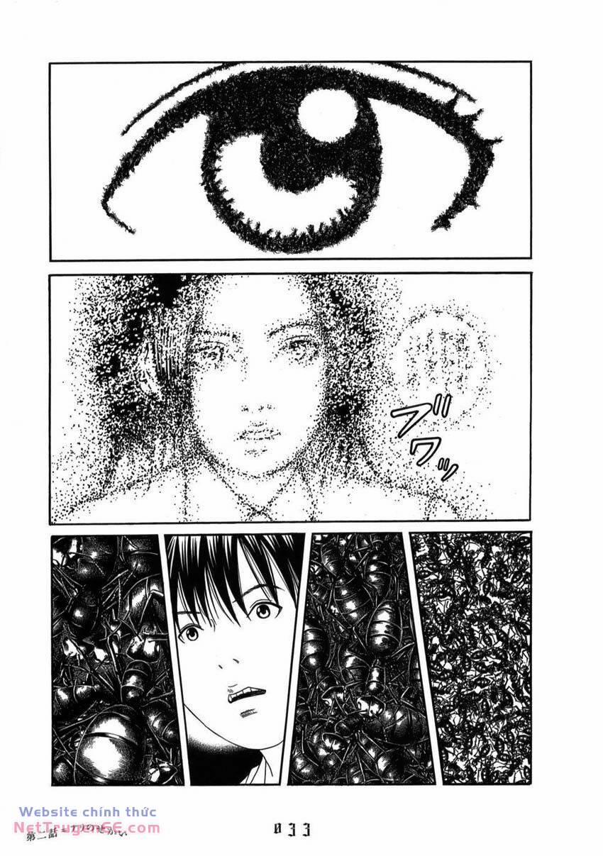 Thiếu Niên Thiếu Nữ Phiêu Lưu Ký 2 trang 8