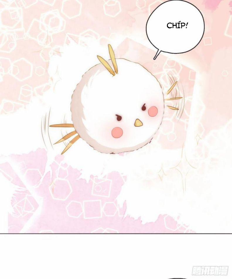 Thỉnh Cùng Ta Đồng Miên 55 trang 12