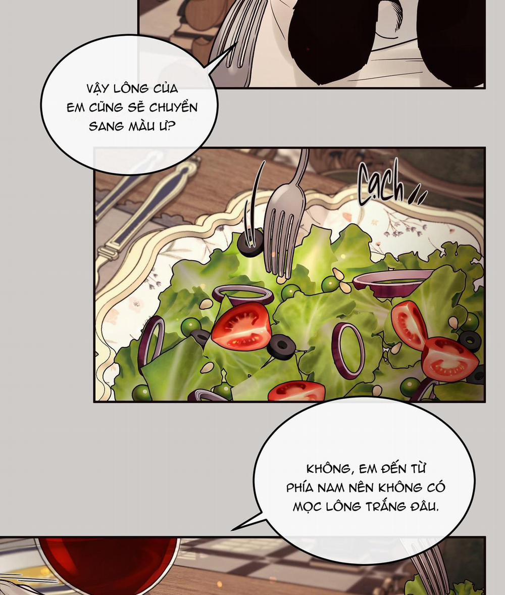 THỎ BẮC CỰC ROBBIE 5 NT1 trang 30