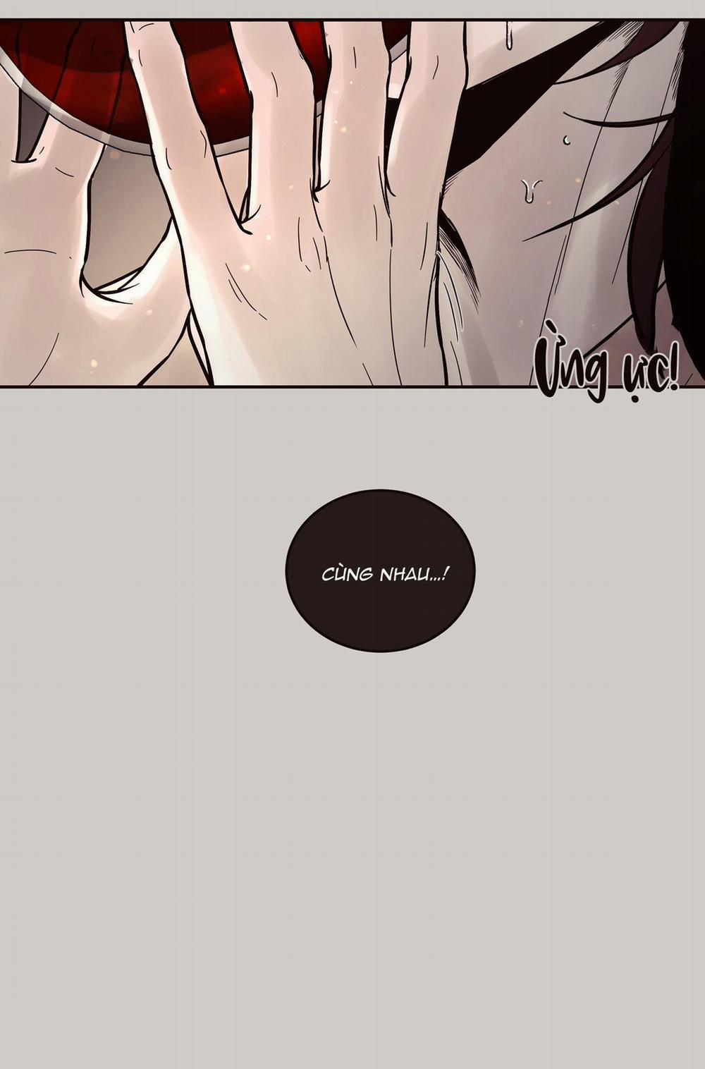 THỎ BẮC CỰC ROBBIE 5 NT1 trang 38