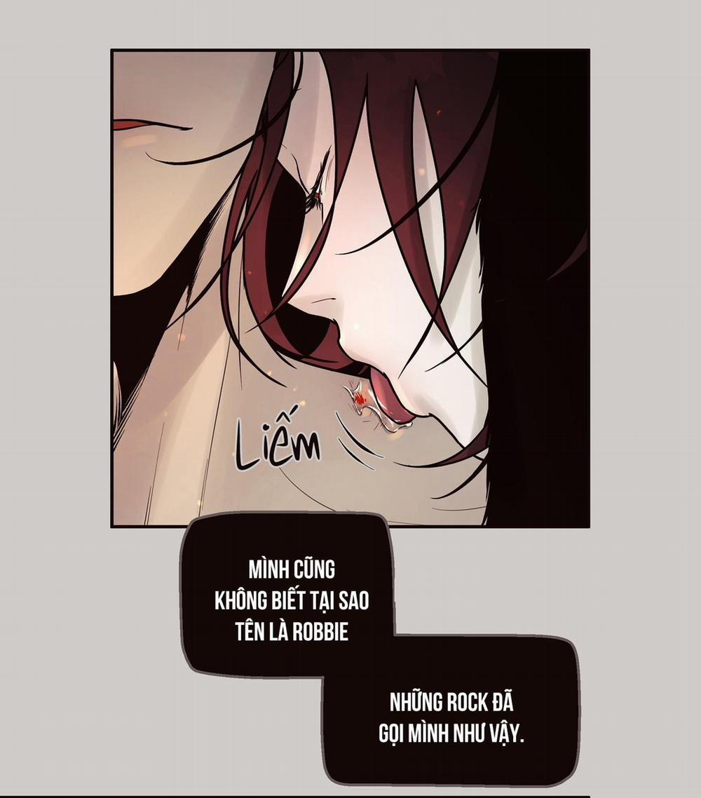 THỎ BẮC CỰC ROBBIE 5 NT1 trang 8