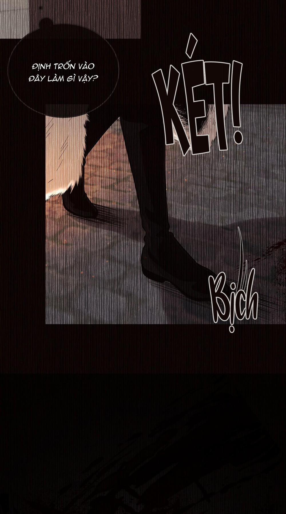 THỎ BẮC CỰC ROBBIE 6 NT2 trang 41