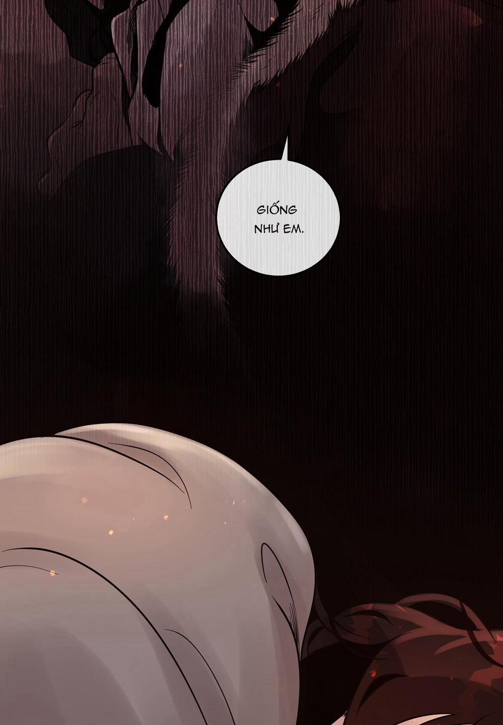 THỎ BẮC CỰC ROBBIE 6 NT2 trang 54