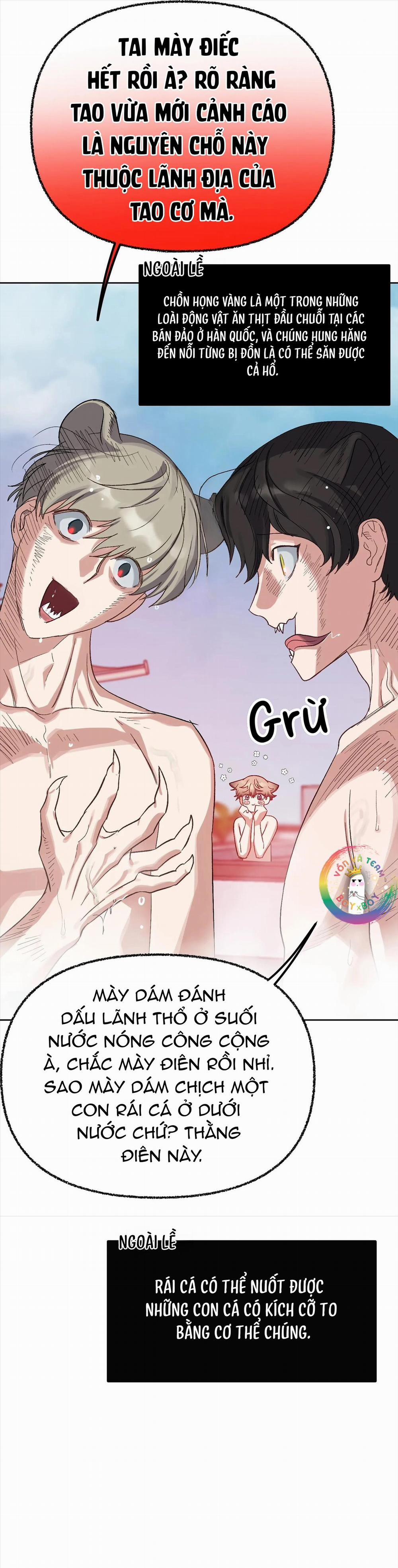 Thỏ Xuất Tinh Trong Vòng 3 Giây 1 trang 17