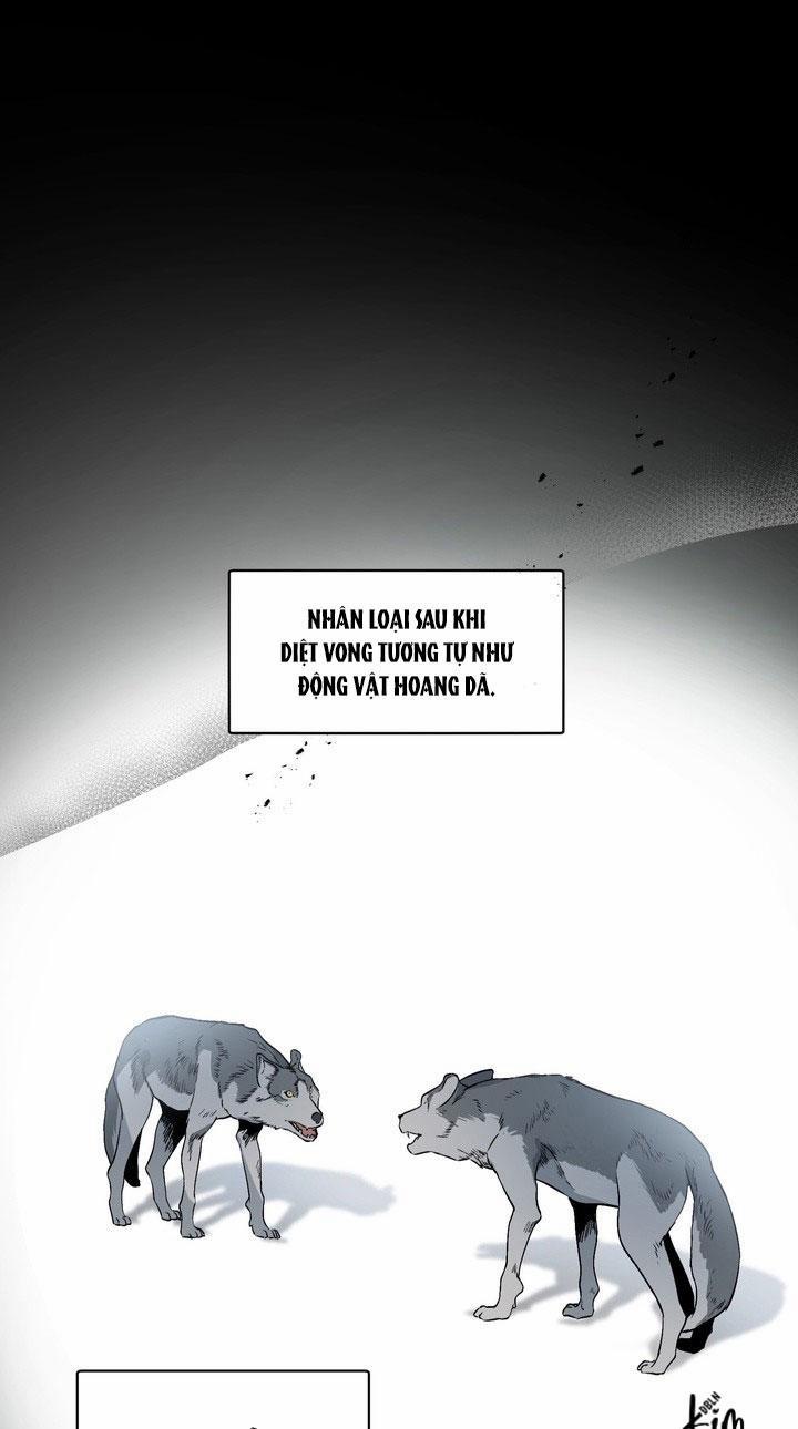 Thú Cưng Damdang 7.3 căn phòng nt3 trang 1