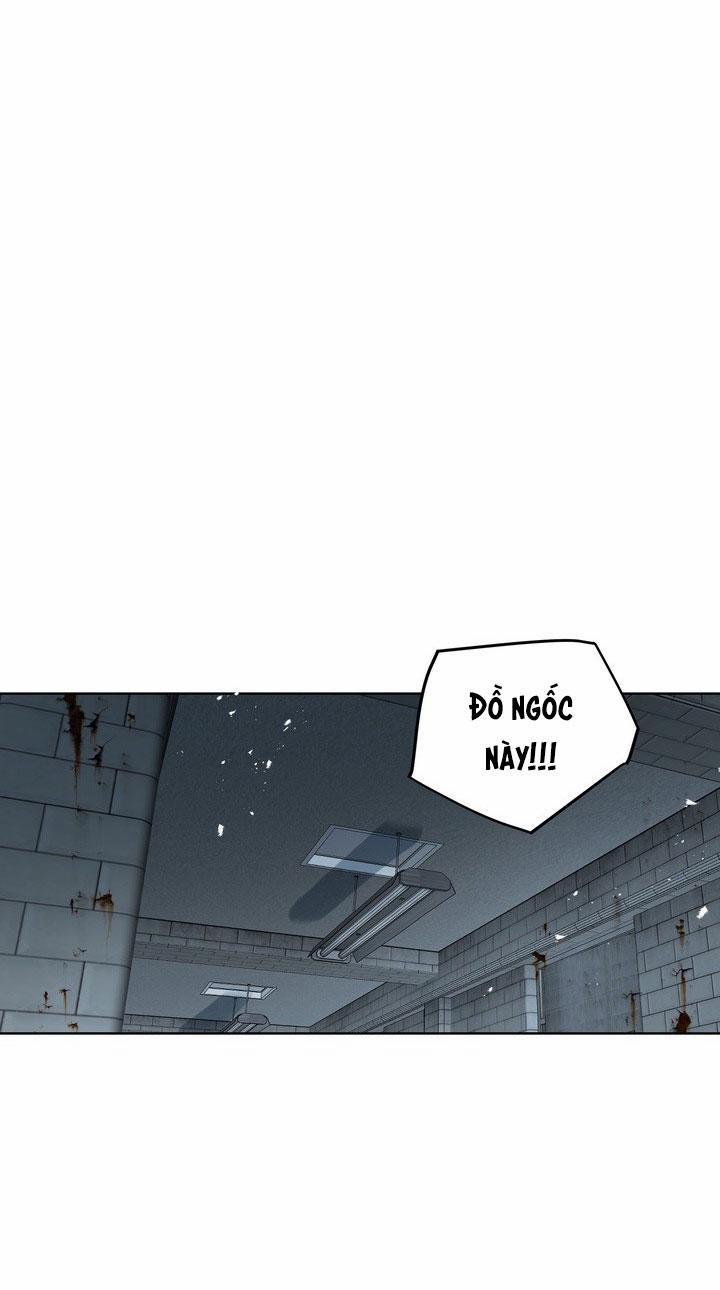 Thú Cưng Damdang 7.3 căn phòng nt3 trang 10