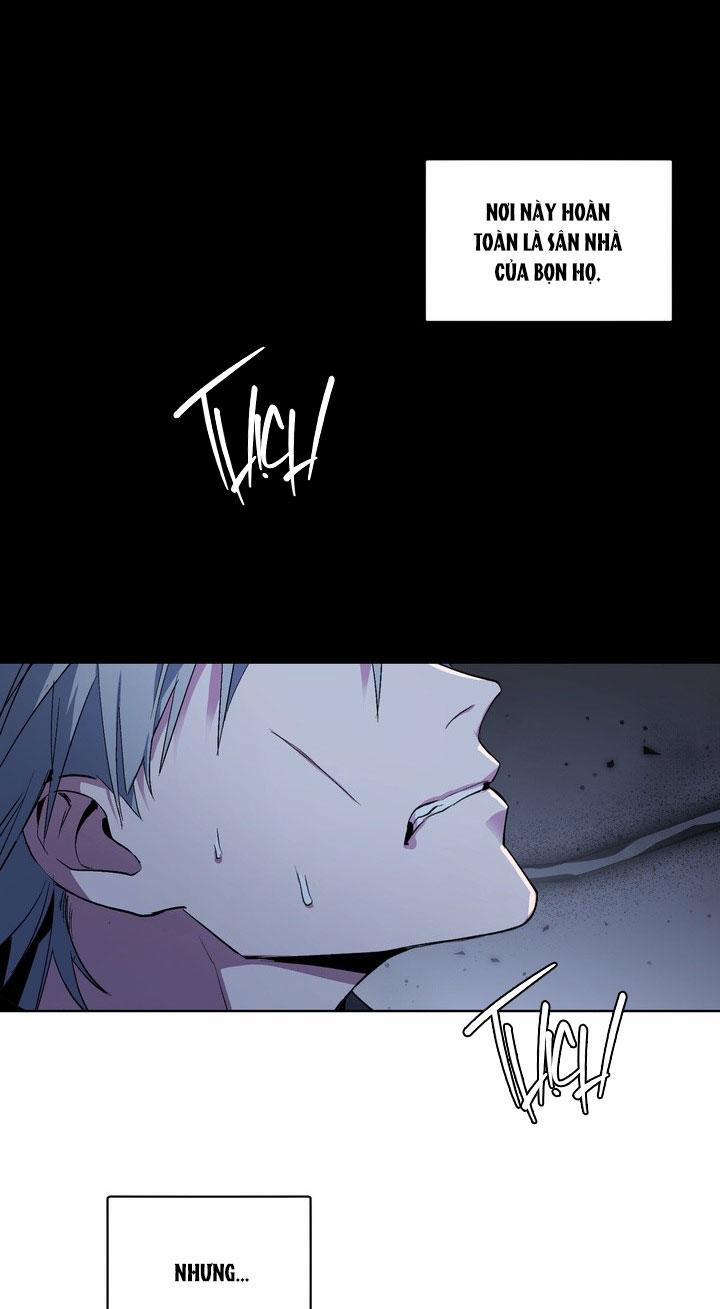 Thú Cưng Damdang 7.3 căn phòng nt3 trang 47