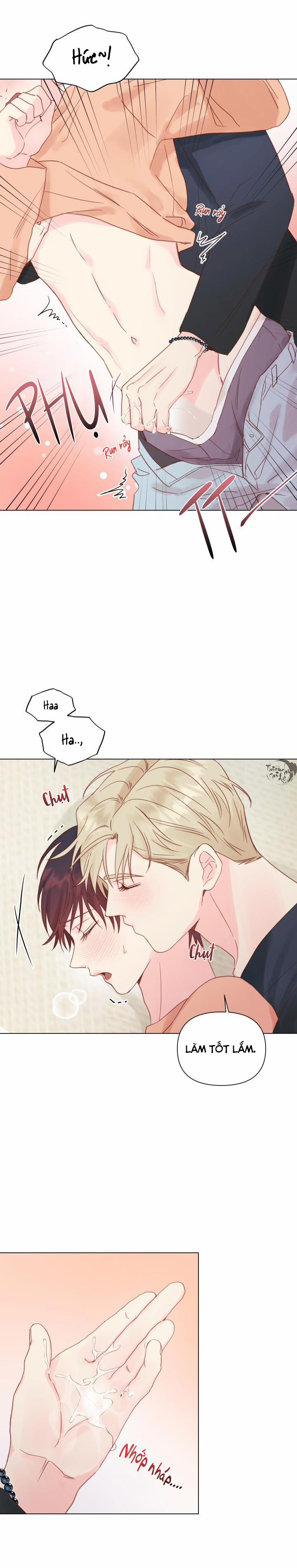 Thủ Hoa 10 trang 11