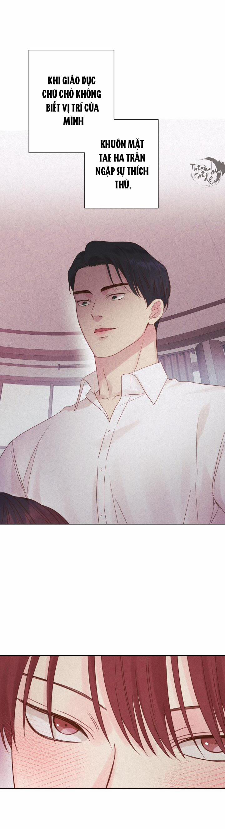 Thủ Hoa 10 trang 28