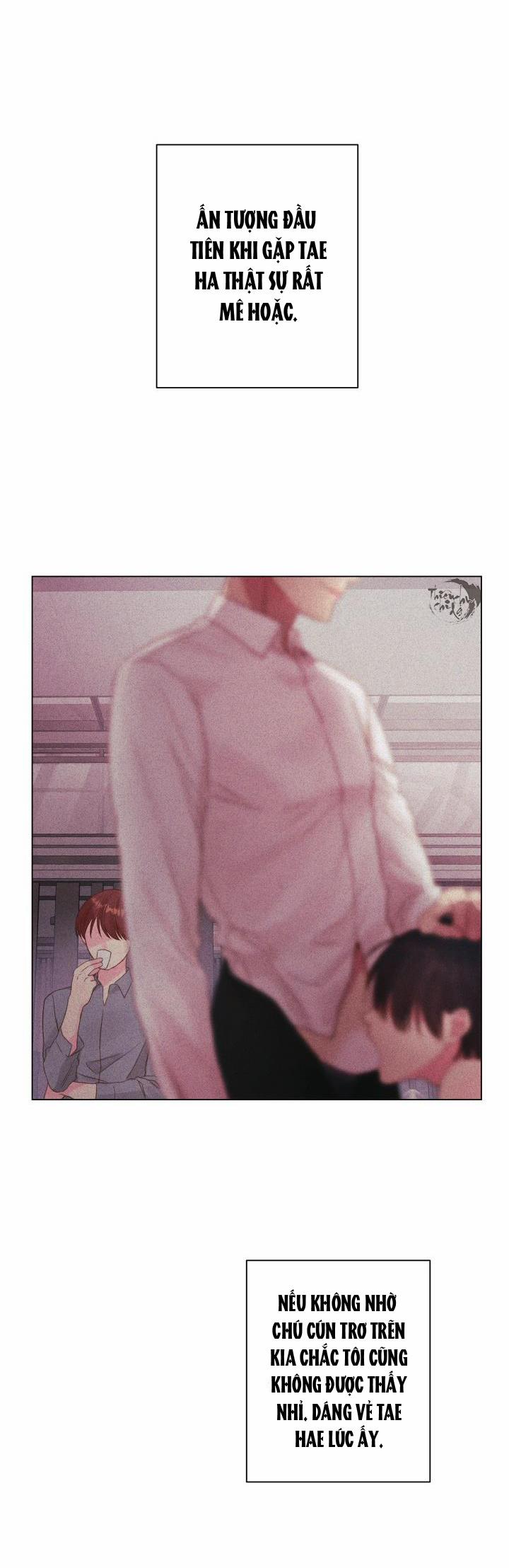 Thủ Hoa 10 trang 29