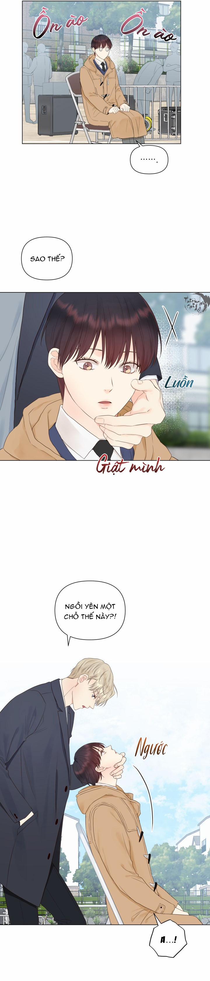 Thủ Hoa 13 trang 13