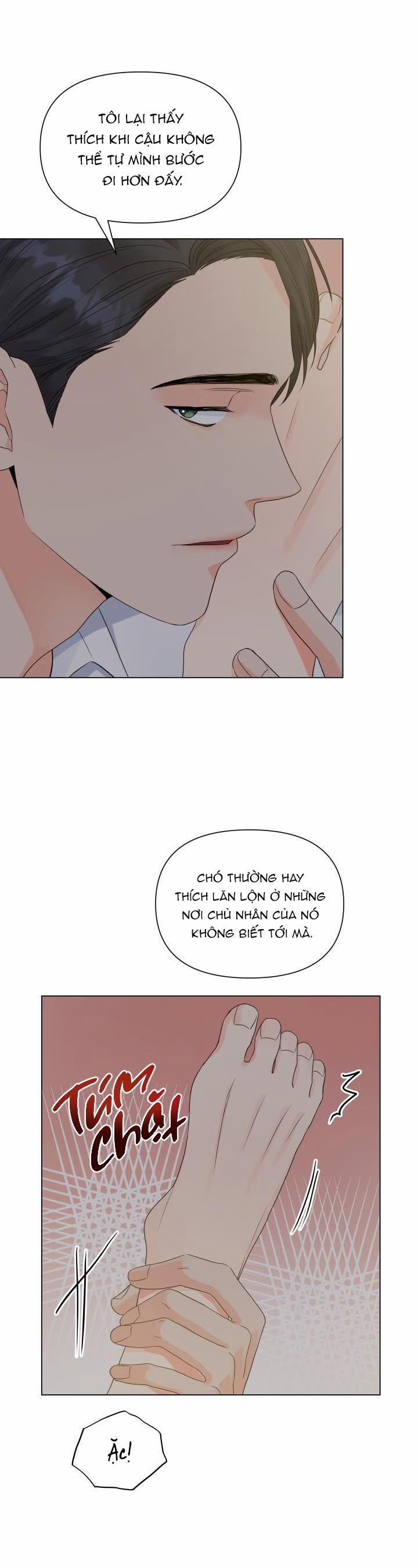 Thủ Hoa 30 trang 16