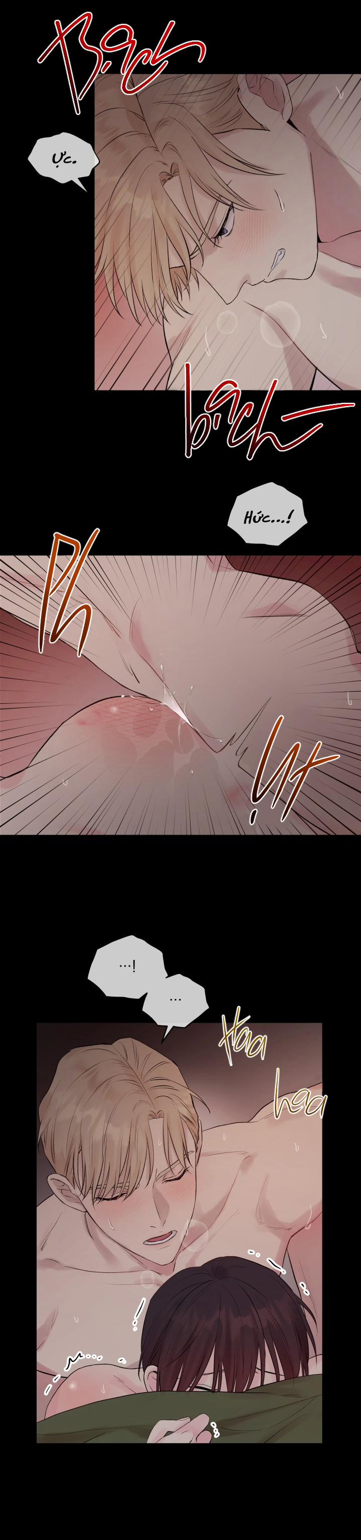 Thủ Hoa 6 trang 17