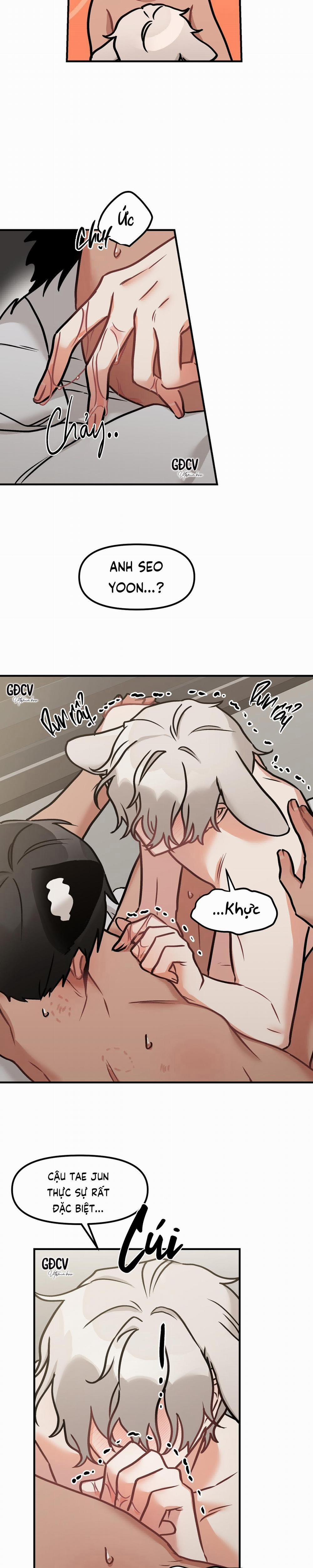 Thưa Ngài Hổ, Tôi Đã Ăn Rất Ngon Miệng 10 trang 7