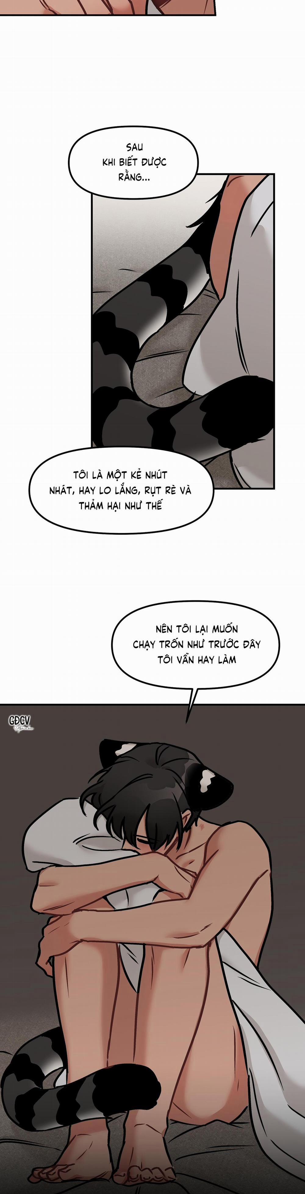 Thưa Ngài Hổ, Tôi Đã Ăn Rất Ngon Miệng 12 trang 10