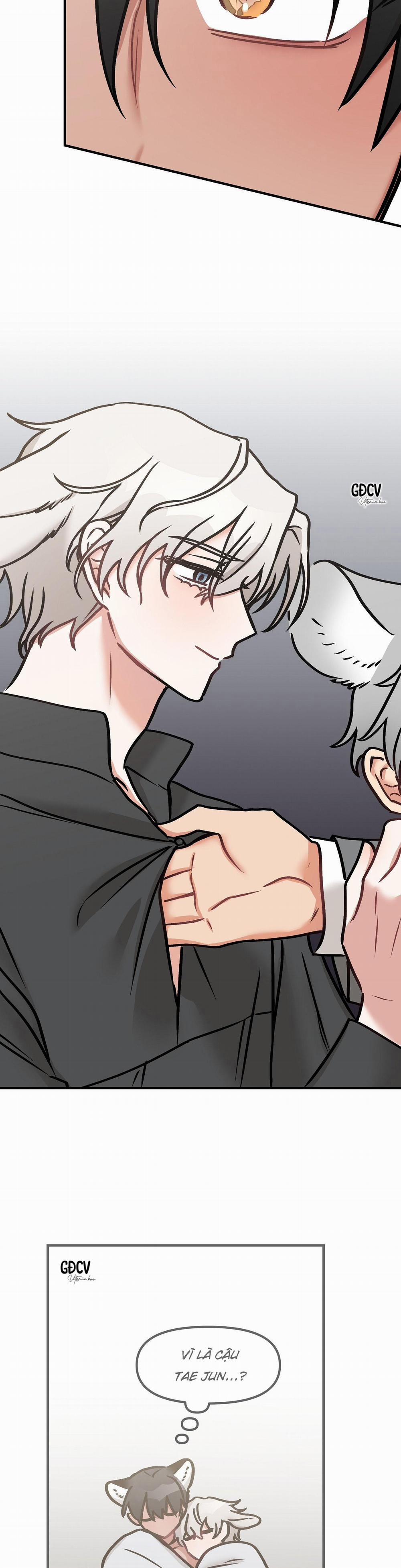 Thưa Ngài Hổ, Tôi Đã Ăn Rất Ngon Miệng 15 trang 18