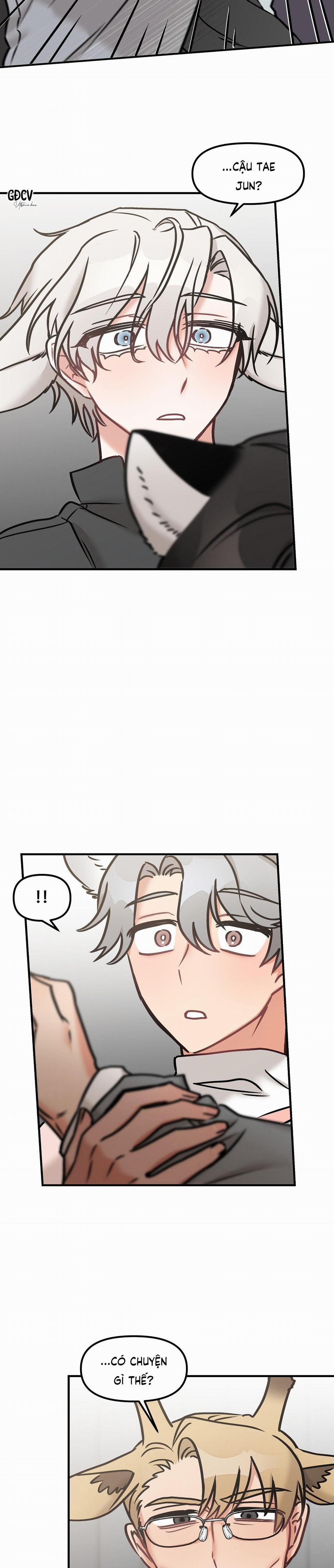 Thưa Ngài Hổ, Tôi Đã Ăn Rất Ngon Miệng 15 trang 20