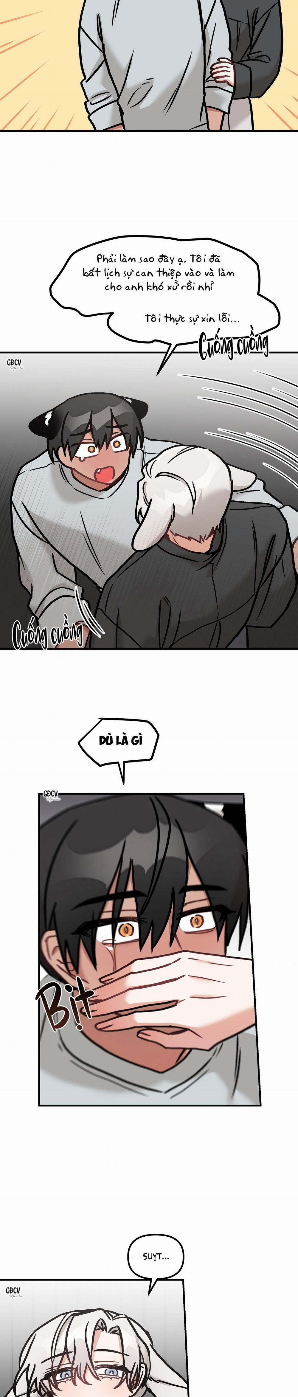 Thưa Ngài Hổ, Tôi Đã Ăn Rất Ngon Miệng 16 trang 5