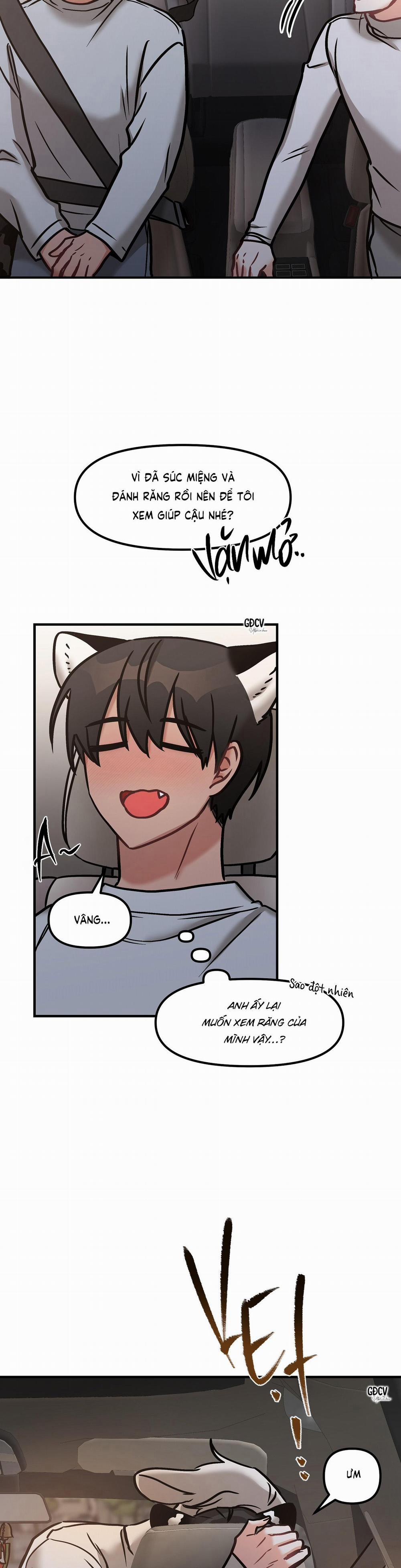 Thưa Ngài Hổ, Tôi Đã Ăn Rất Ngon Miệng 17 trang 10