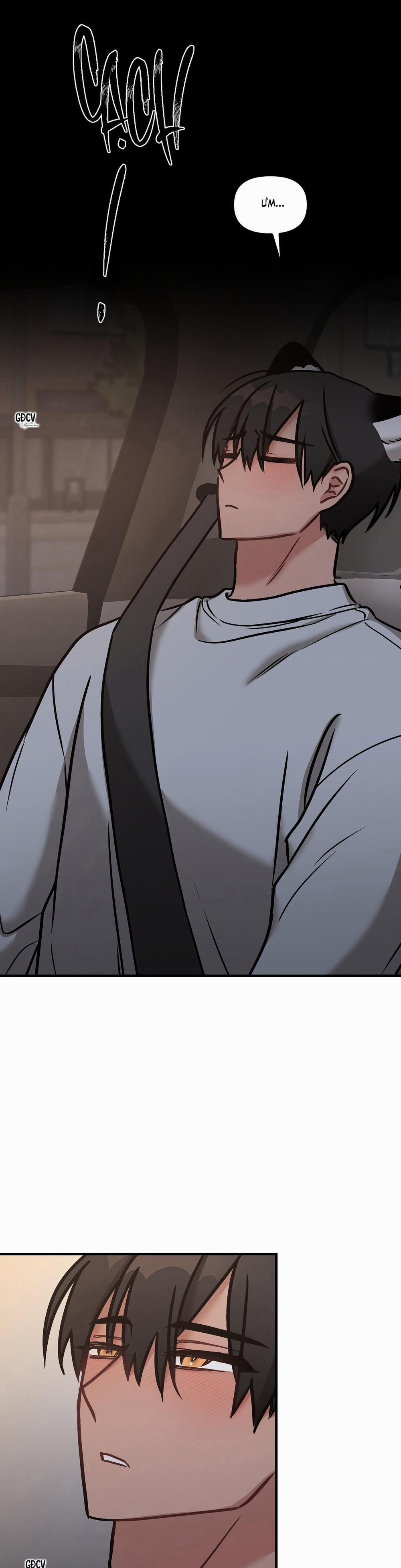 Thưa Ngài Hổ, Tôi Đã Ăn Rất Ngon Miệng 17 trang 6