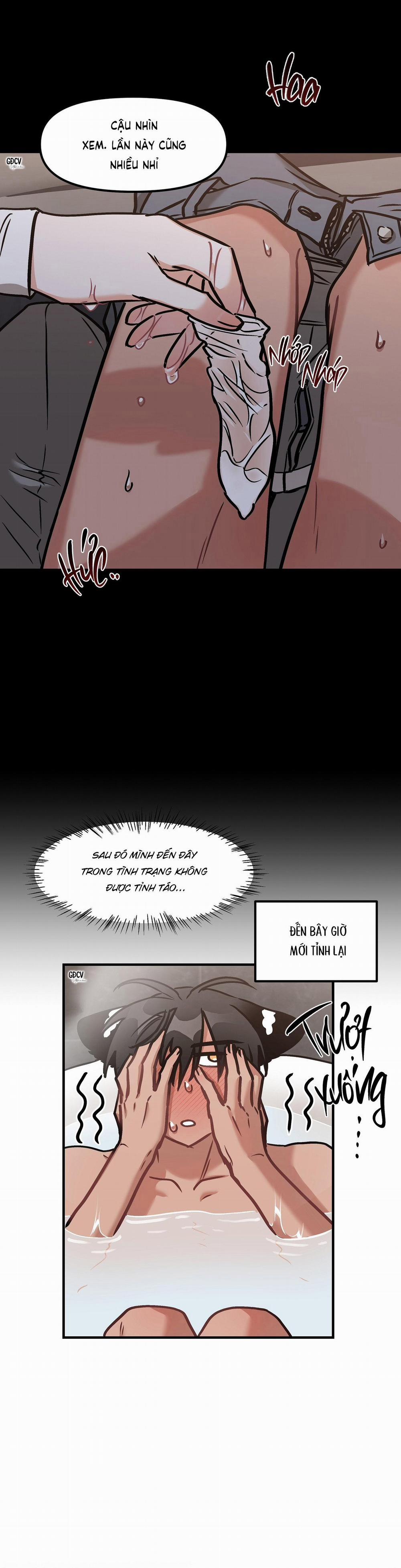 Thưa Ngài Hổ, Tôi Đã Ăn Rất Ngon Miệng 19 trang 11