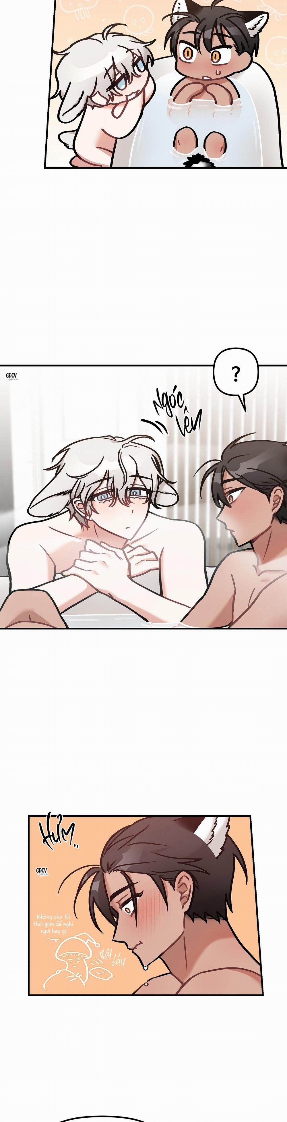 Thưa Ngài Hổ, Tôi Đã Ăn Rất Ngon Miệng 19 trang 13