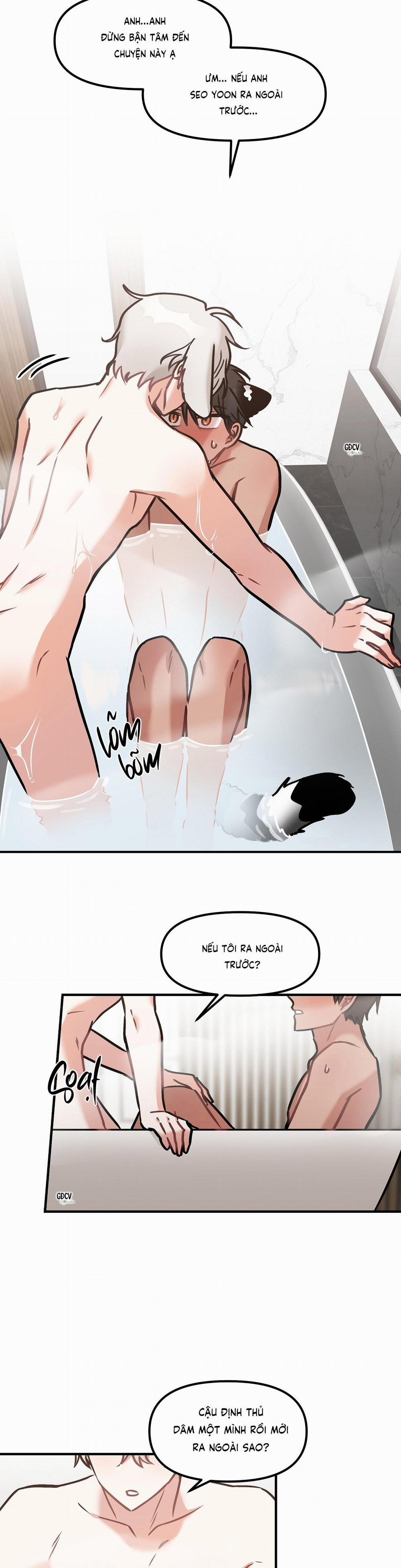 Thưa Ngài Hổ, Tôi Đã Ăn Rất Ngon Miệng 19 trang 14