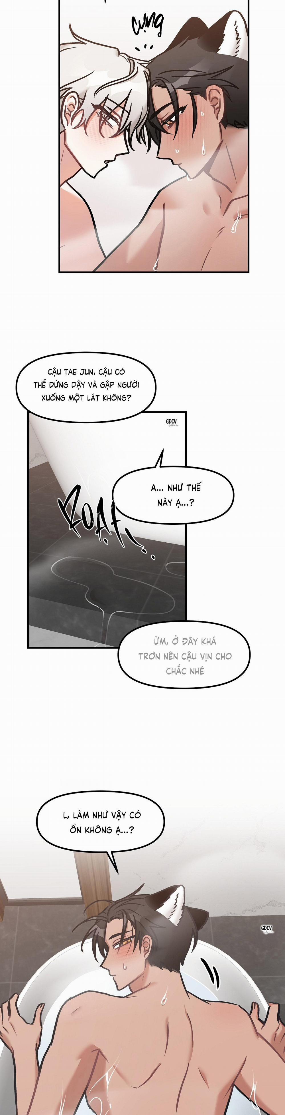 Thưa Ngài Hổ, Tôi Đã Ăn Rất Ngon Miệng 19 trang 16