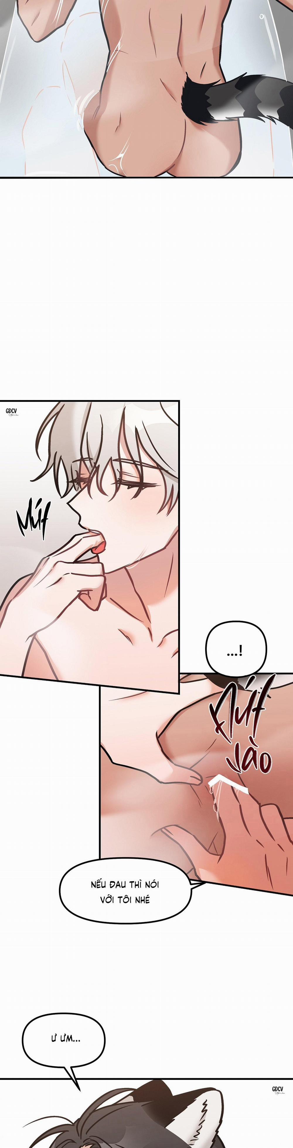 Thưa Ngài Hổ, Tôi Đã Ăn Rất Ngon Miệng 19 trang 17