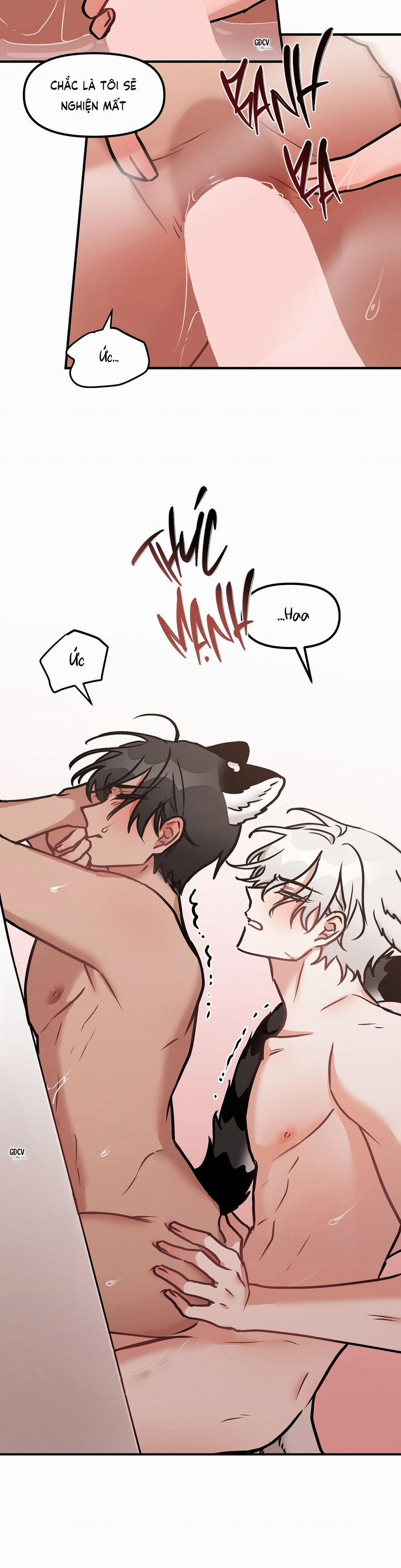 Thưa Ngài Hổ, Tôi Đã Ăn Rất Ngon Miệng 19 trang 21