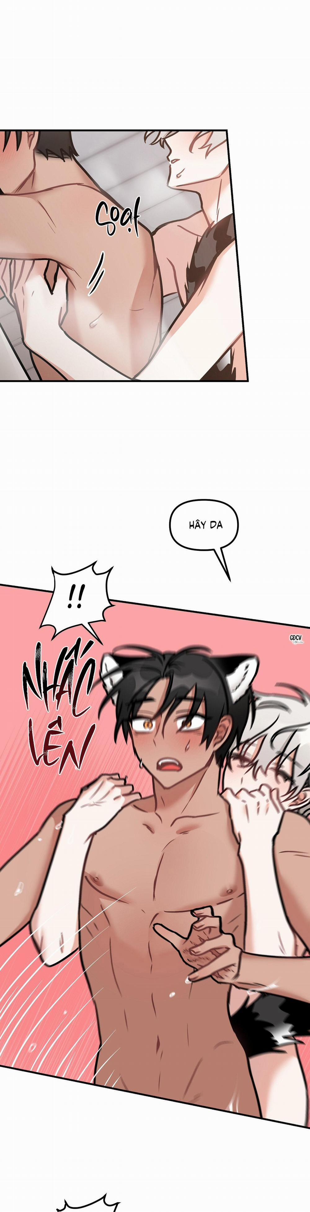 Thưa Ngài Hổ, Tôi Đã Ăn Rất Ngon Miệng 19 trang 22