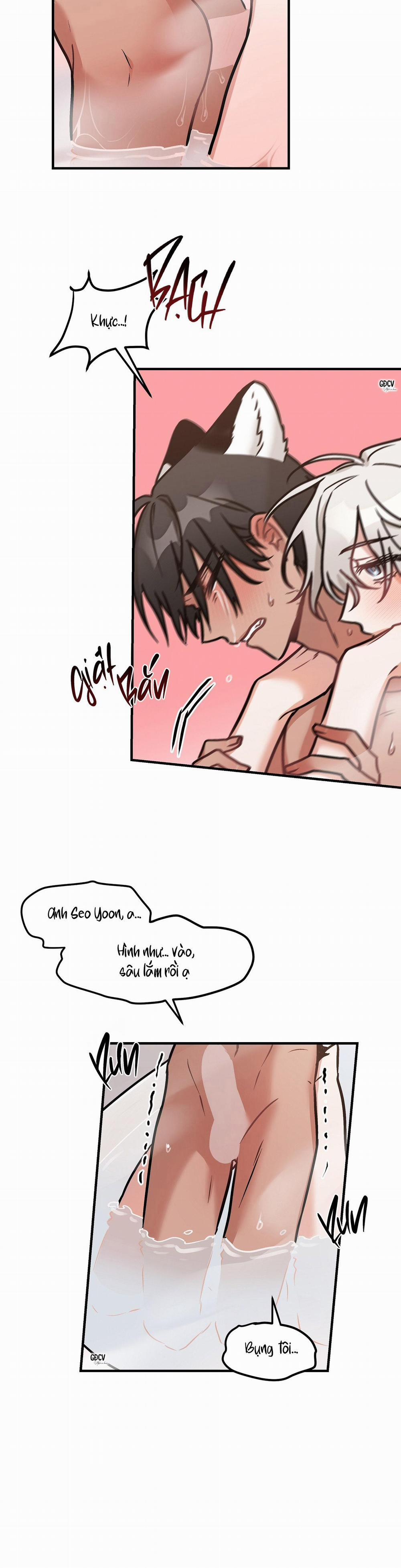 Thưa Ngài Hổ, Tôi Đã Ăn Rất Ngon Miệng 19 trang 24