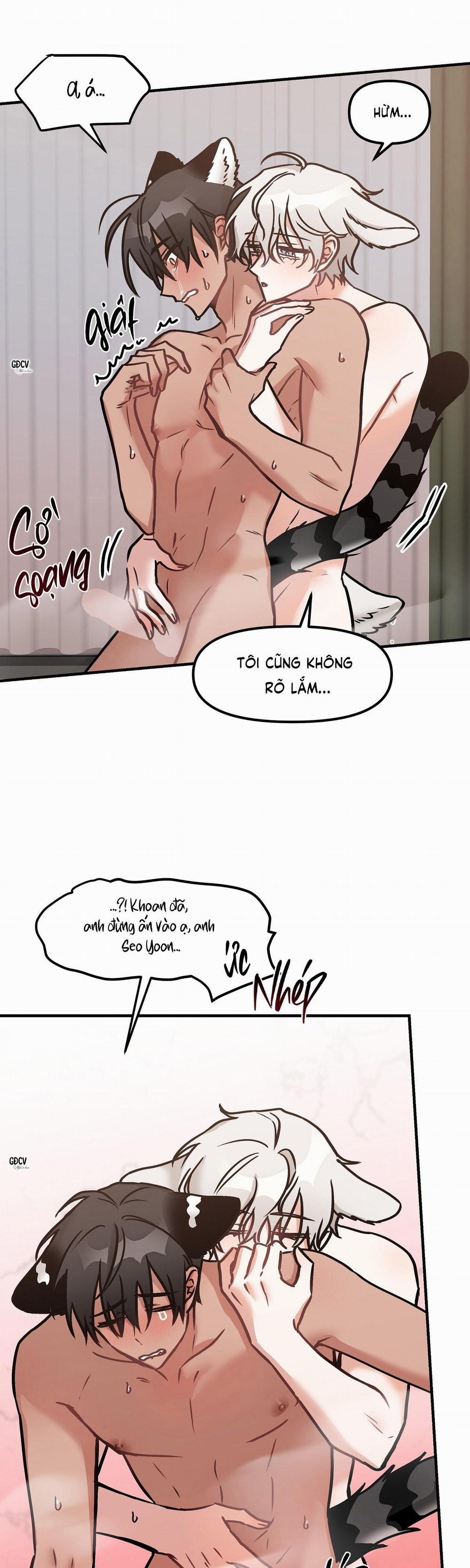 Thưa Ngài Hổ, Tôi Đã Ăn Rất Ngon Miệng 19 trang 25