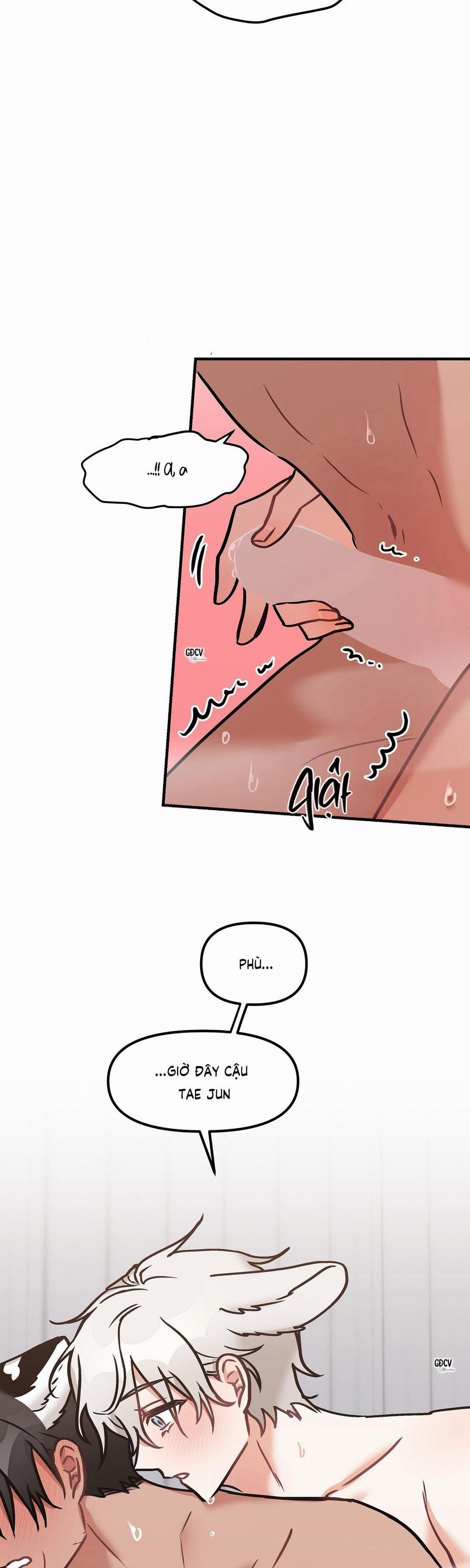 Thưa Ngài Hổ, Tôi Đã Ăn Rất Ngon Miệng 19 trang 29