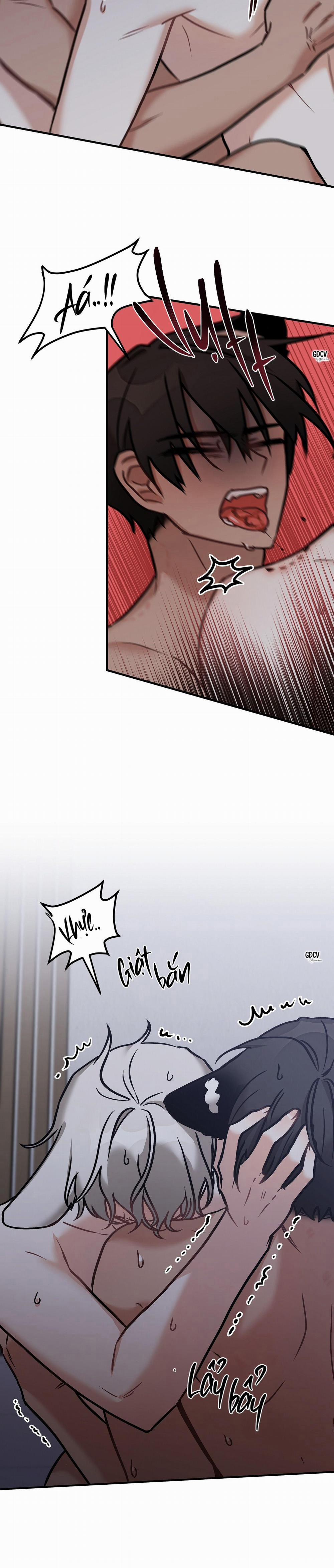 Thưa Ngài Hổ, Tôi Đã Ăn Rất Ngon Miệng 20 trang 12