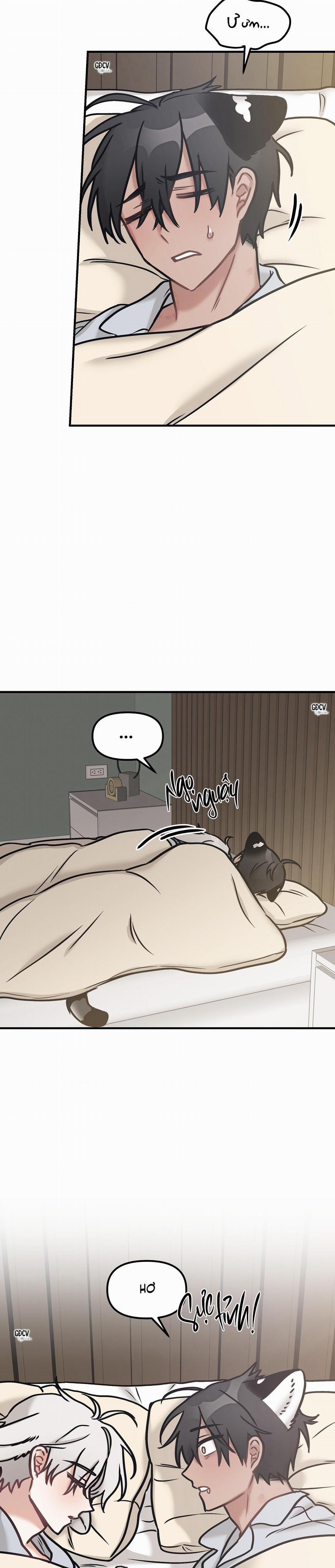 Thưa Ngài Hổ, Tôi Đã Ăn Rất Ngon Miệng 20 trang 16