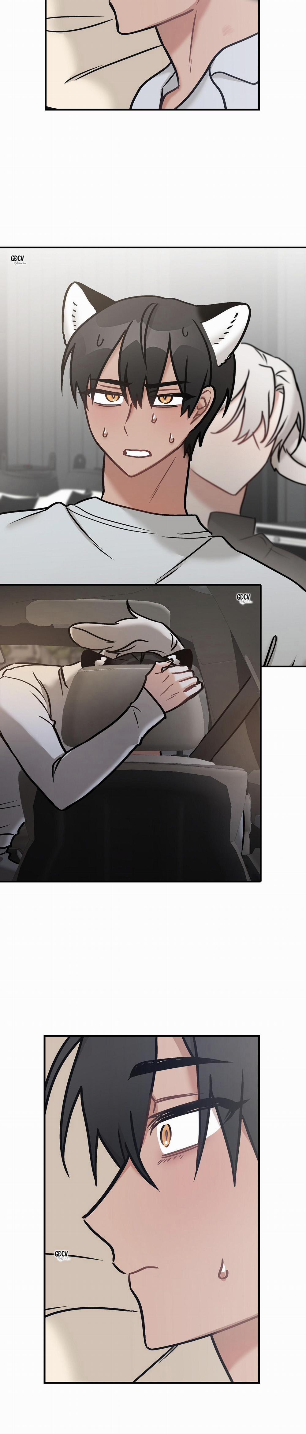 Thưa Ngài Hổ, Tôi Đã Ăn Rất Ngon Miệng 20 trang 18