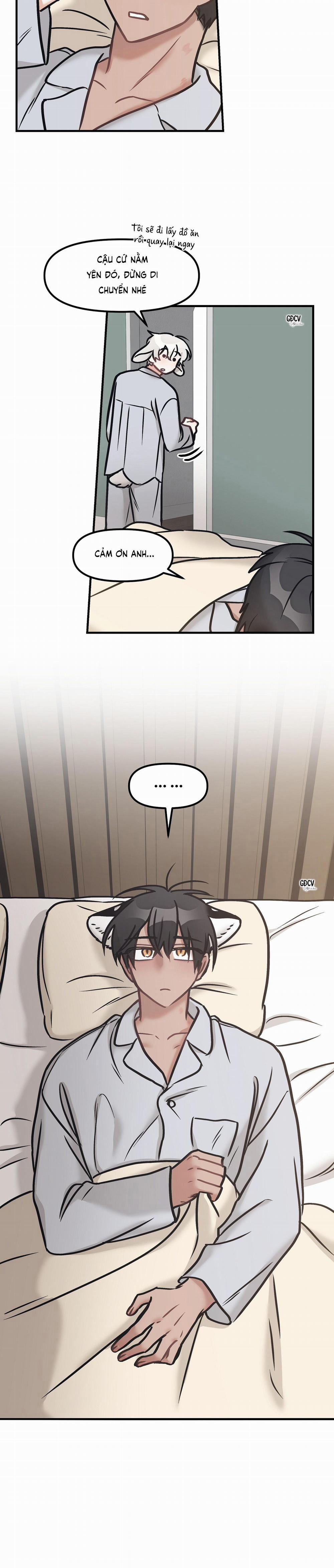 Thưa Ngài Hổ, Tôi Đã Ăn Rất Ngon Miệng 20 trang 24