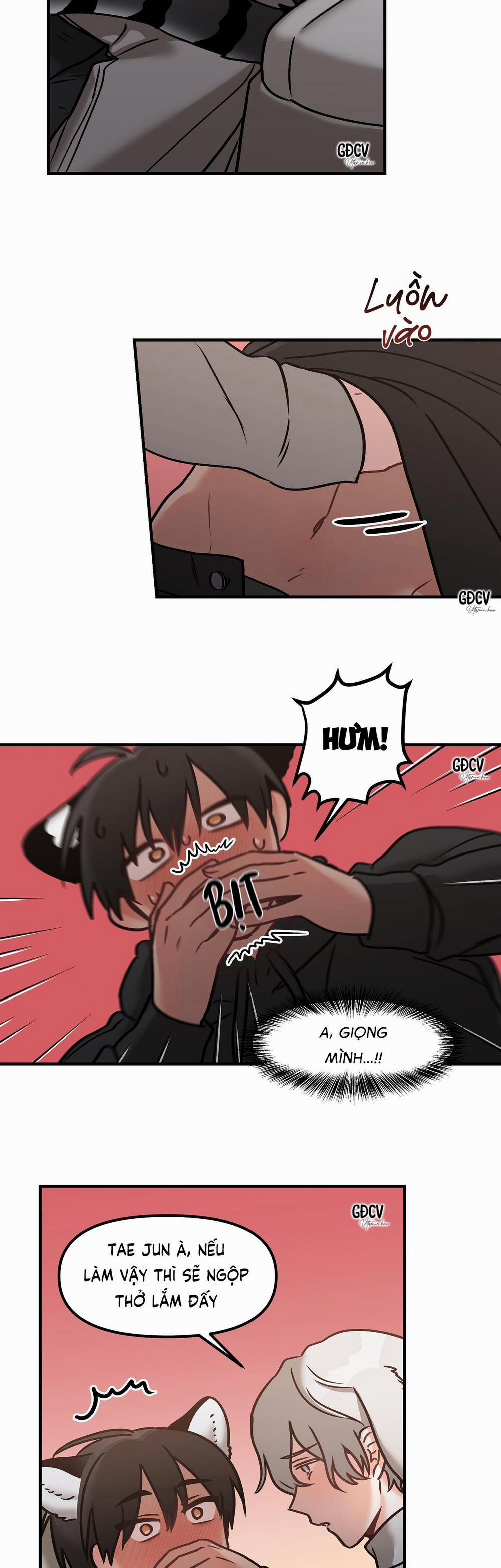 Thưa Ngài Hổ, Tôi Đã Ăn Rất Ngon Miệng 6 trang 7